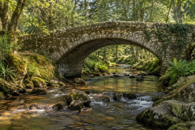 Follow the path across the old stone bridge — AI-generated editorial illustration